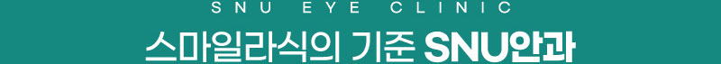 타이틀